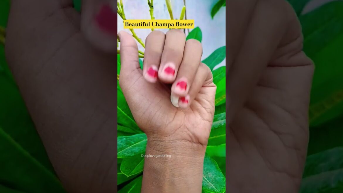 #flowers #garden #trending #viralvideo