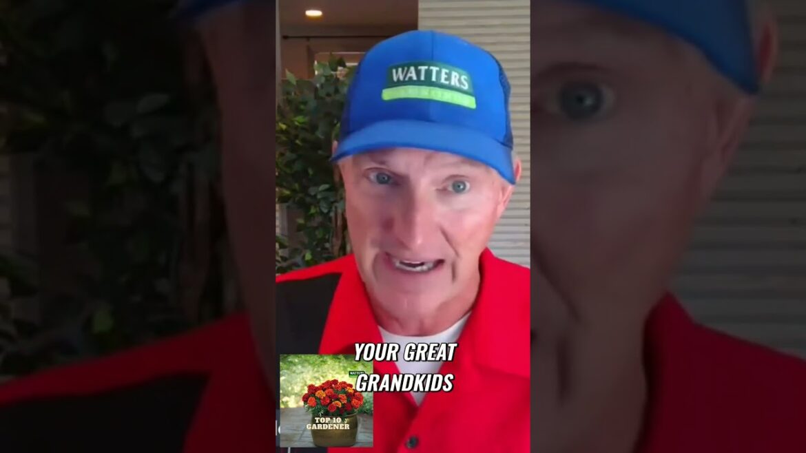 Planting Timeless Oaks - A Living Legacy