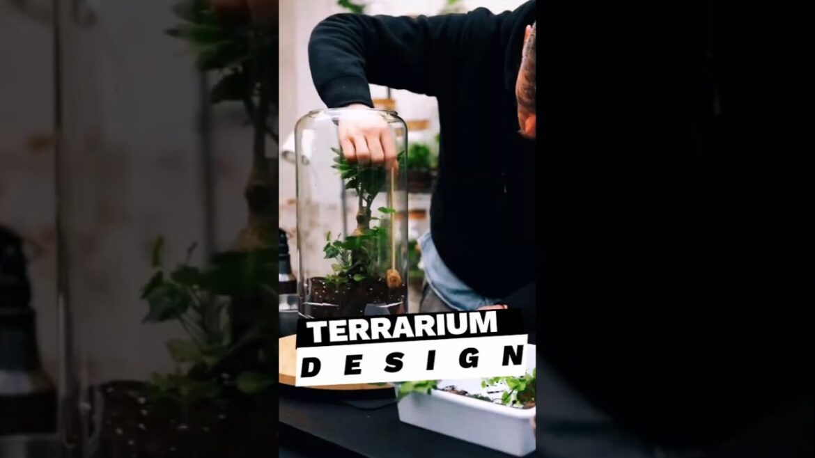 Terrarium Design  #terrarium #garden #design