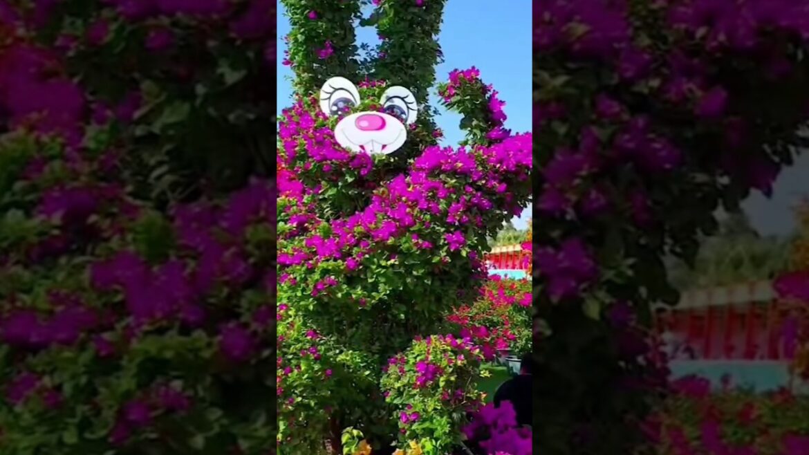 Beautiful natural flowers#flowers #roseflowergarden #prettiestflowers #nature #prettiestflowers #1m Beautiful natural flowers#flowers #roseflowergarden #prettiestflowers #nature #prettiestflowers #1m