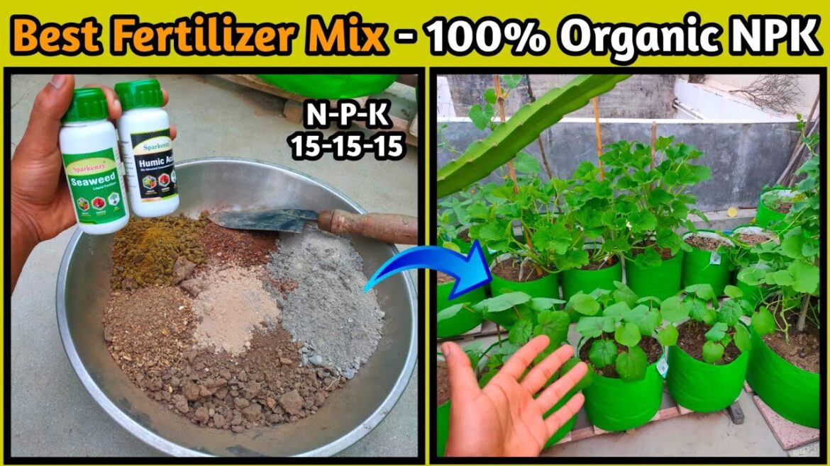Best Fertilizer Mix For Vegetable Gardening | Best Organic Fertilizer | #asmr #garden #fertilizer