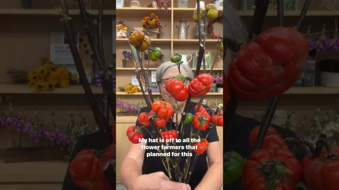 Comment SALES 101 and I’ll DM the link to register for my free: “Where To Sell Cut-Flowers: