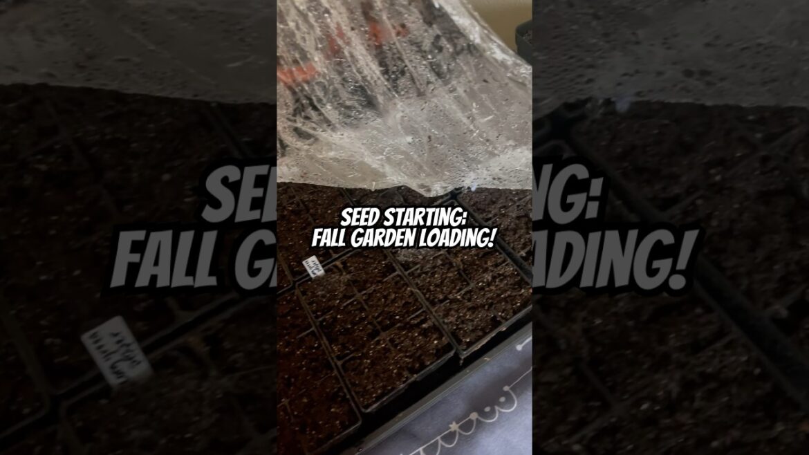 Seed Starting: Fall Garden Loading! #fallgardening #zone10 #gardener