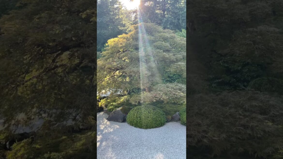 Japanese Sand garden