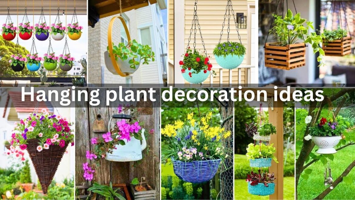 Hanging plant decoration ideas | hanging garden ideas | hanging planter ideas #hangingplants Hanging plant decoration ideas | hanging garden ideas | hanging planter ideas #hangingplants