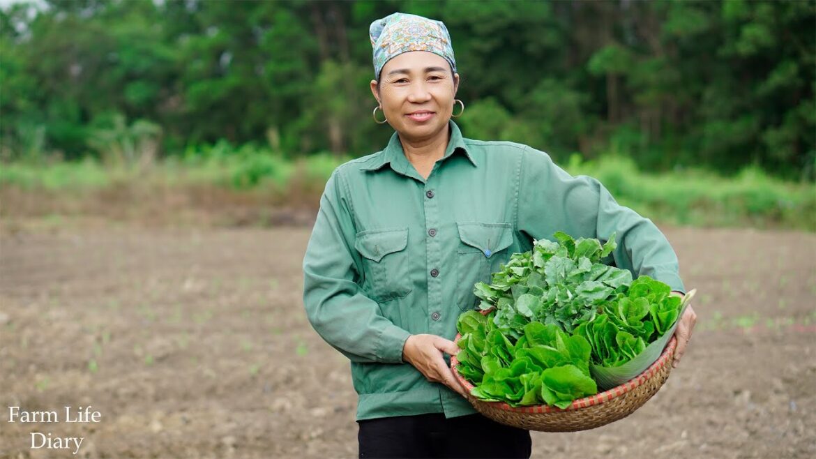 Daily life Single woman, clean vegetable gardening, taking care of ducks, chickens, geese