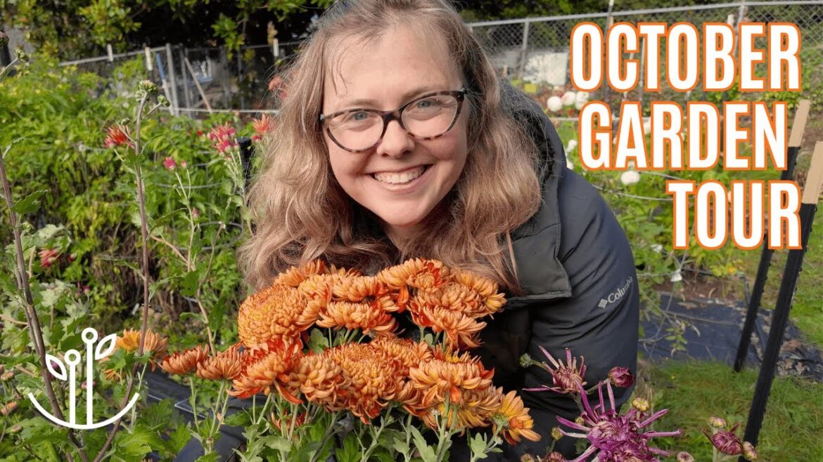 October Garden Tour | Heirloom Chrysanthemums are FINALLY Here!