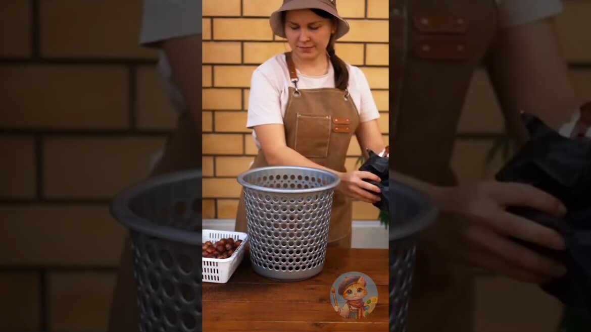 Ingenious Ways to Grow Plants Anywhere 🍄‍🟫 🍄‍🟫 🍄‍🟫 #cicwy