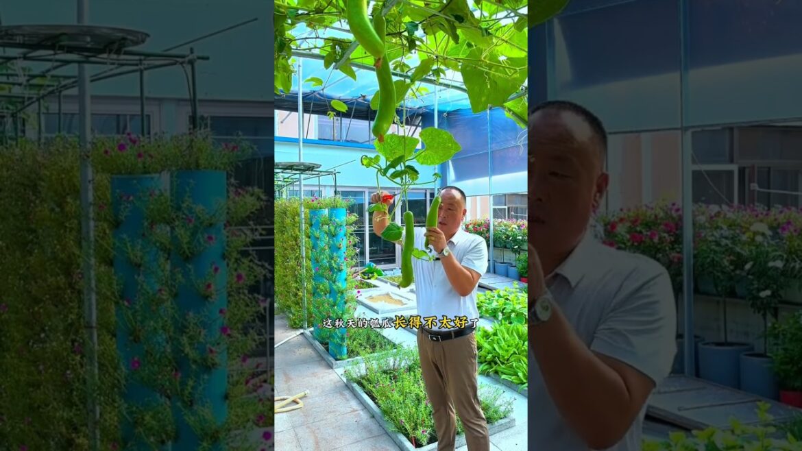 Vegetable cutting in my home garden #shots #youtubeshorts