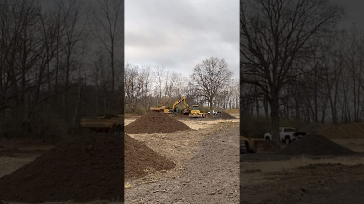 Our FARM is Taking Shape! #garden #homestead #shorts