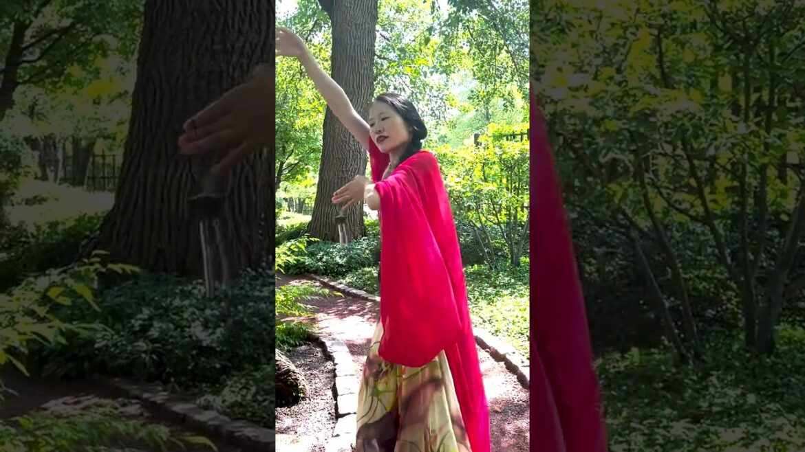 Japanse Garden Chicago #shorts #garden #japanese