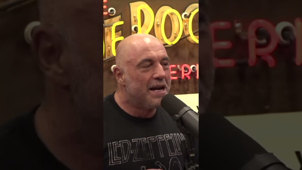 "Infinite Connections" | JOE ROGAN #shorts