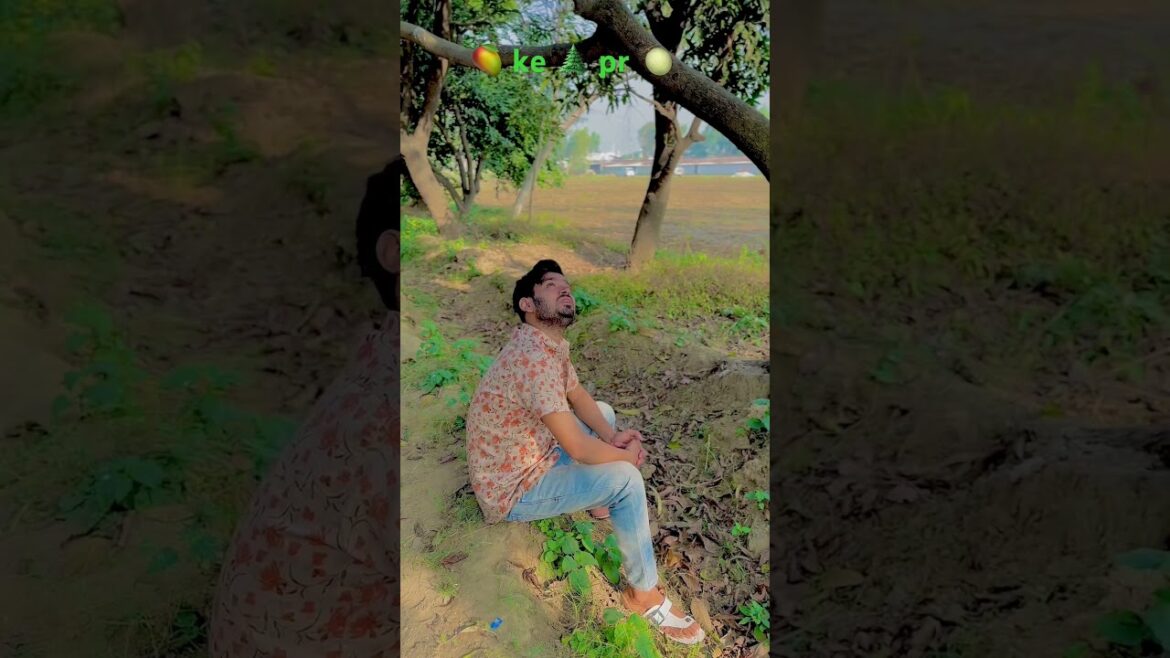 Aam ke ped 🌲 pr amrud #aam