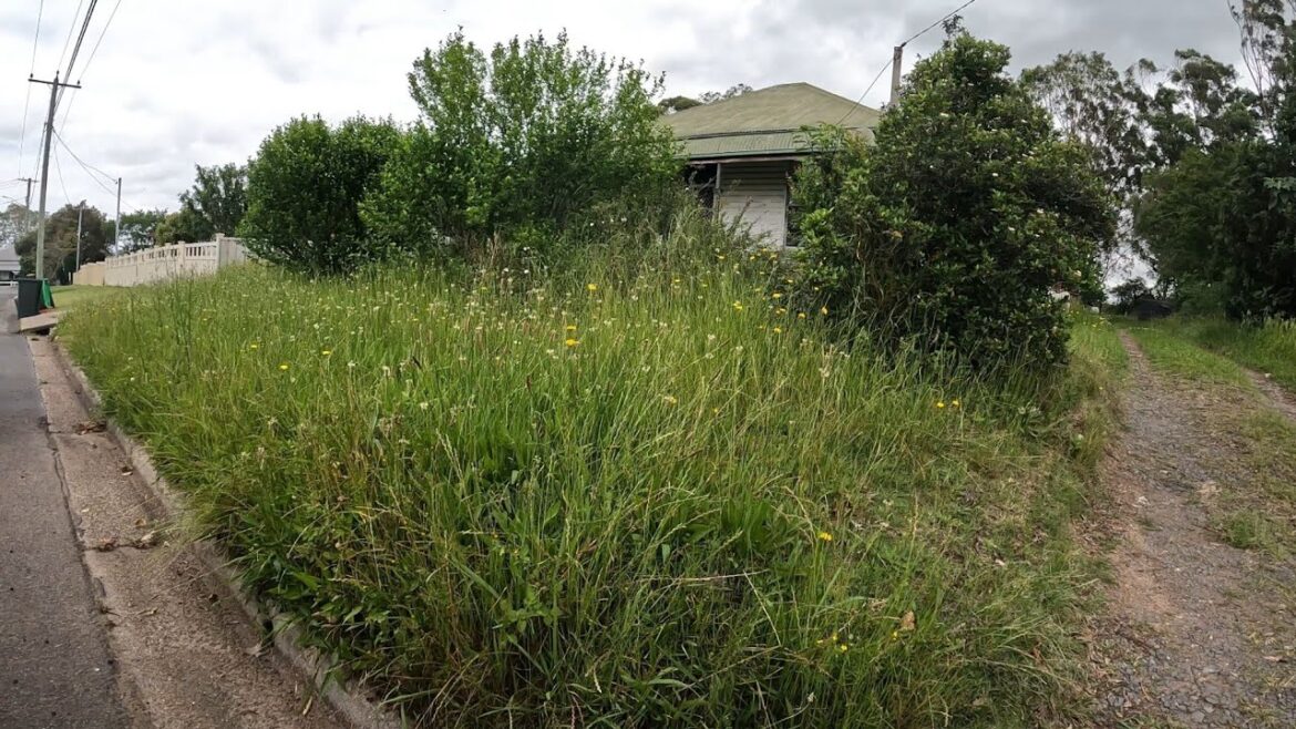NEGLECTED HOUSE now LOOKS INCREDIBLE! – Yard clean up NEGLECTED HOUSE now LOOKS INCREDIBLE! - Yard clean up