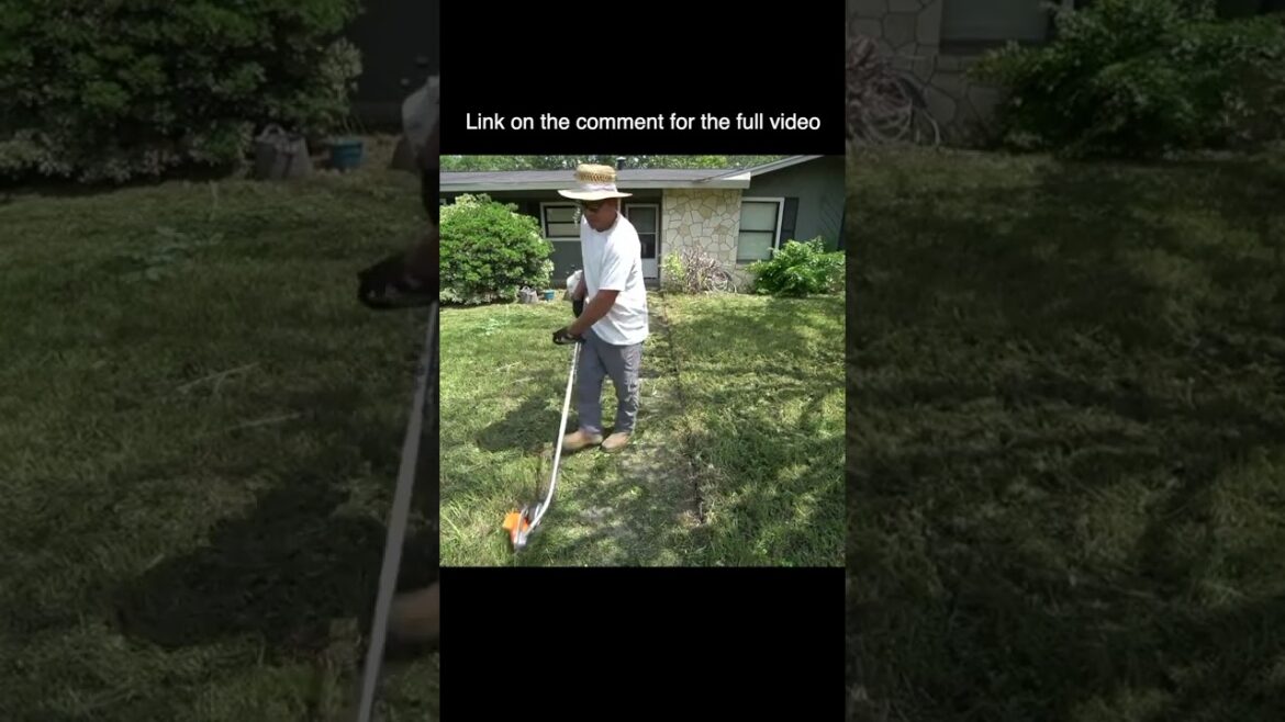 Front yard got cleaned for the first time after months of being  overgrown  #shorts