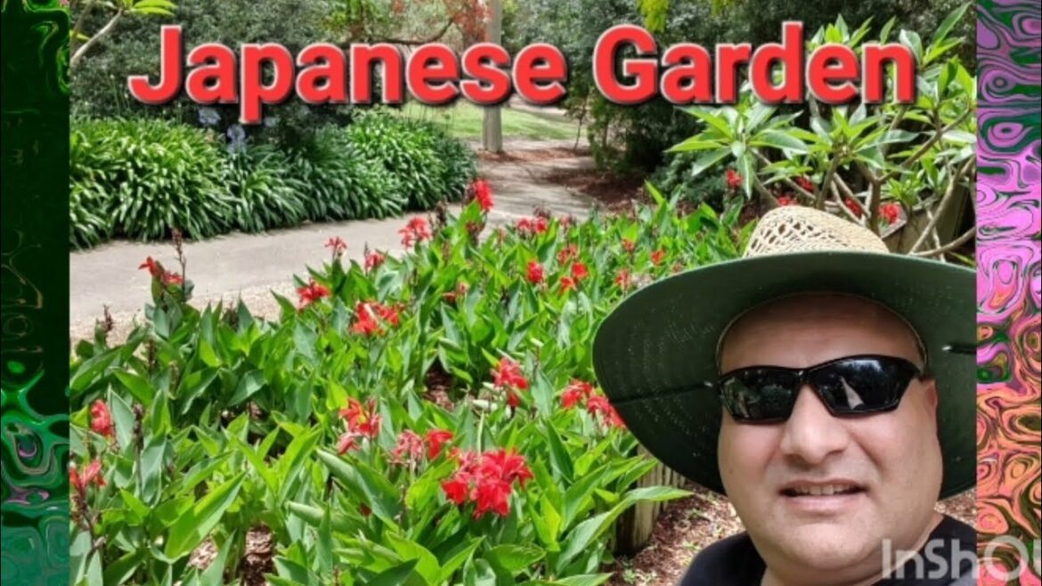 Japanese Garden Auburn Australia #Japanesegarden Japanese Garden Auburn Australia #Japanesegarden