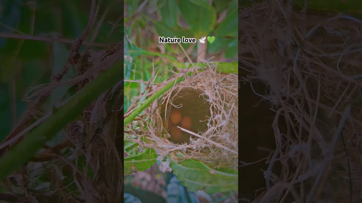 The Gardening Trends Taking Over in 2024 The Gardening Trends Taking Over in 2024