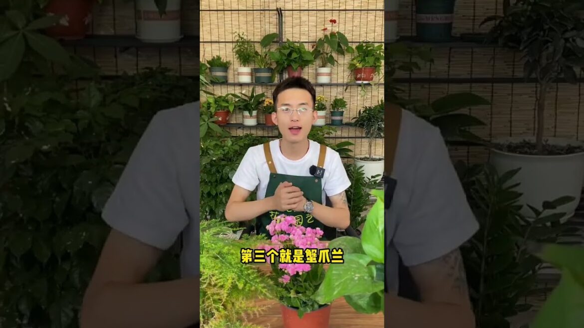 这4种花夏季要重剪 #花 #养花 #种花 #园艺  #园丁 #爱生活爱养花 #养花小知识 #花卉绿植