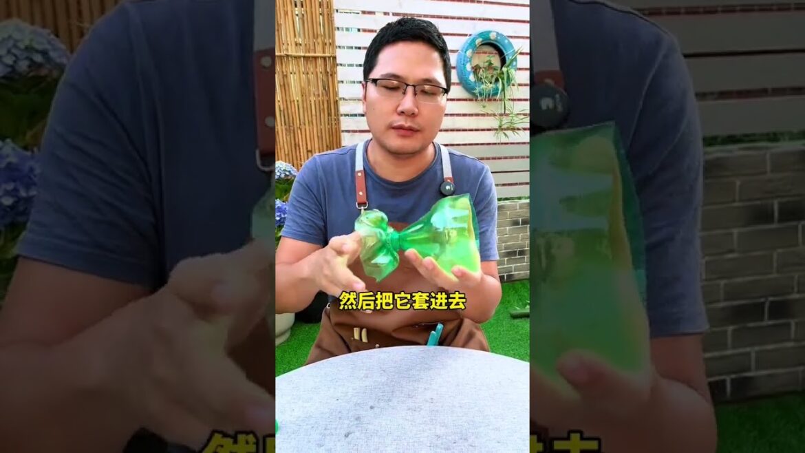 自制养花神器，变废为宝#花卉绿植#养花小知识#爱生活爱养花