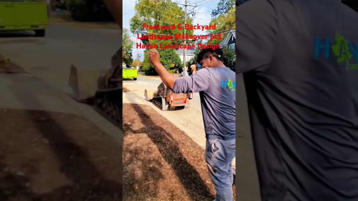 Frontyard & Backyard Landscape Makeover pt3 #charlotte #landscape #cool