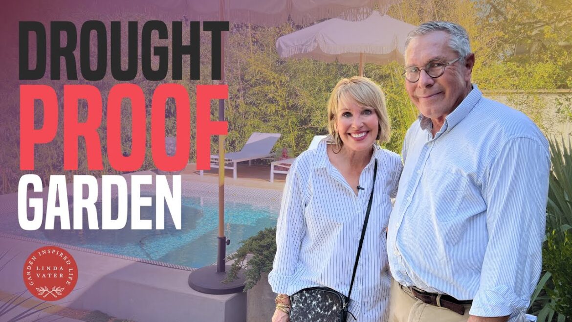 Tour This Extraordinary Drought Proof Garden