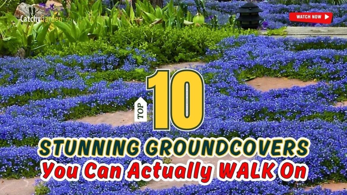 🌸 "10 STUNNING Groundcovers You Can Actually WALK On! 🌿💥" // Gardening Ideas