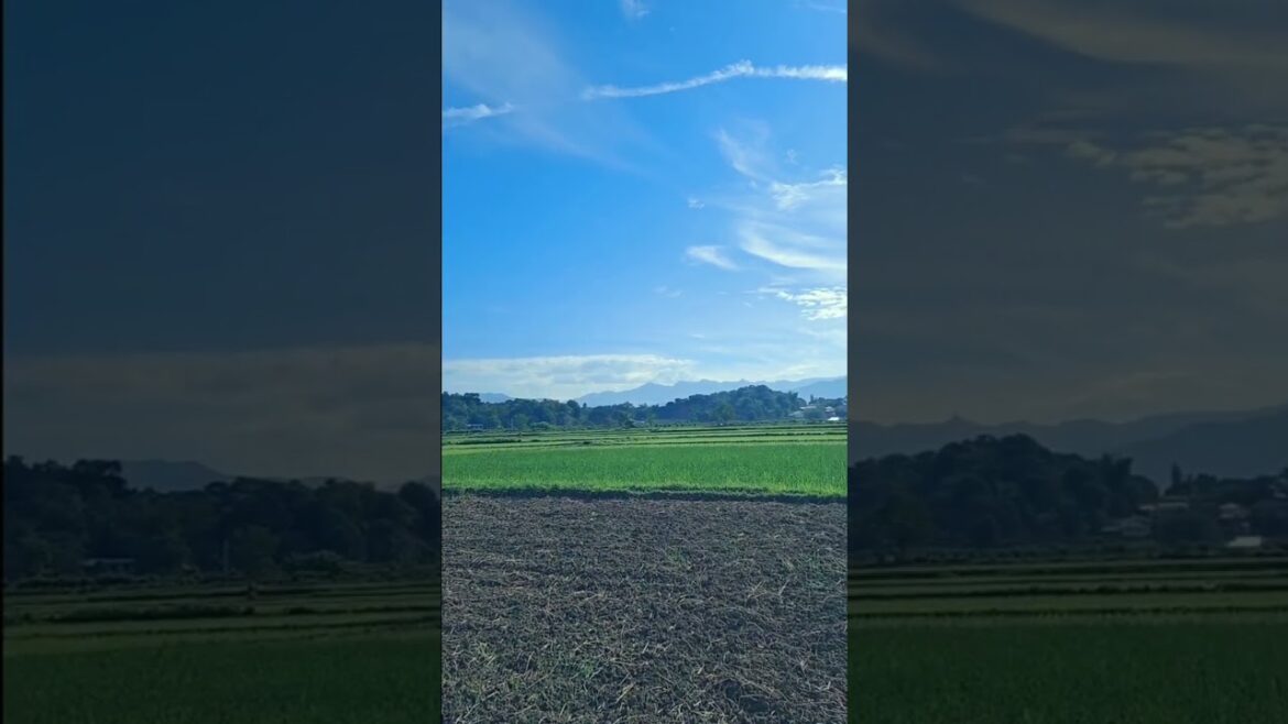 Vegetable gardening, simple life in the province #gardening #farmlife #buhayprobinsya