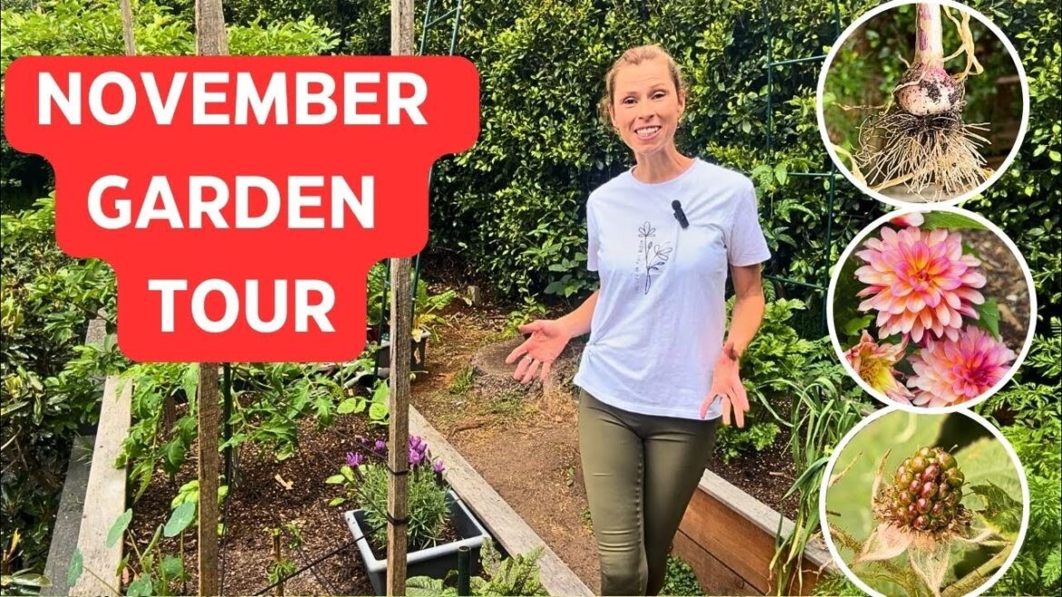 NOVEMBER Vegetable Garden Tour – Plus what to plant now! Spring Gardening in Melbourne, Australia NOVEMBER Vegetable Garden Tour - Plus what to plant now! Spring Gardening in Melbourne, Australia