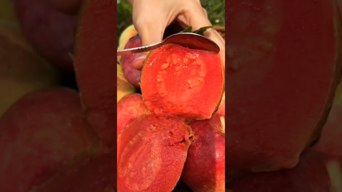 Enjoy the tasty fruits and beautiful nature 🍓🍉🥭🍊🍎🍌#shorts​ #nature​ #fruit​ #garden​ #foryou​ #short