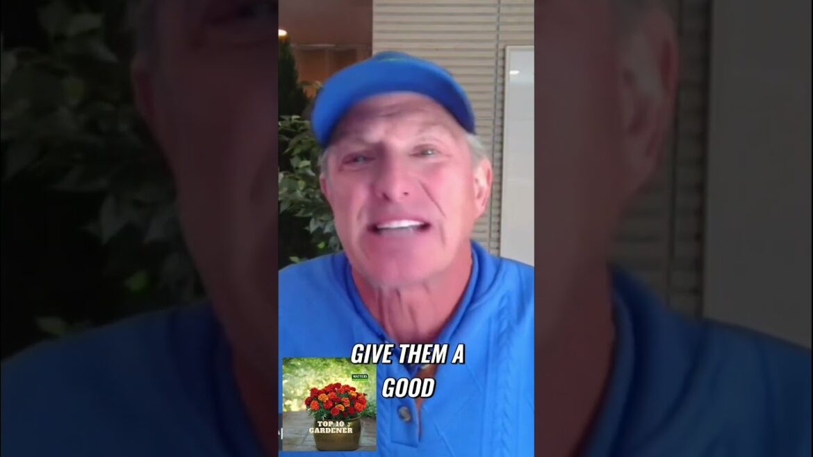 Essential Tips for Preparing Your Patios for Winter