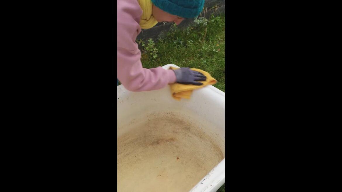 Giving old bathtub new life as peaceful backyard centerpiece ๐๐ Giving old bathtub new life as peaceful backyard centerpiece ๐๐