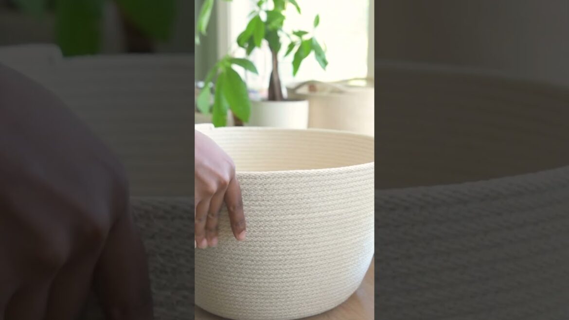 this turned out better than I expected! #diy #plants this turned out better than I expected! #diy #plants