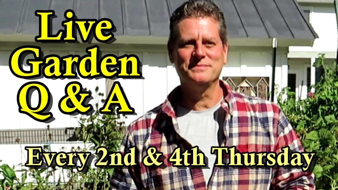 Gary Pilarchik: Garden Grounds E-48 Live Q & A: Live Garden Questions Answered –  Indoor Seed Starting Tips Garden Grounds E-48 Live Q & A: Live Garden Questions Answered -  Indoor Seed Starting Tips