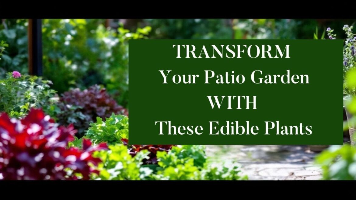Transform Your Patio with These Gorgeous Edible Plants