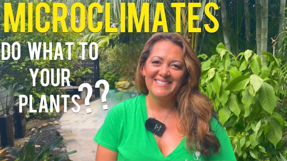 Are Your PLANTS Dying Because of This Mistakes? Are Your PLANTS Dying Because of This Mistakes?