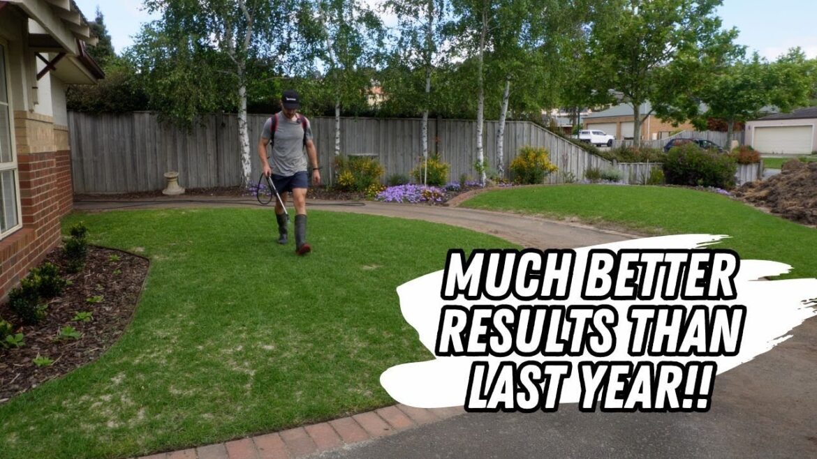 First mow and liquid fertiliser after lawn renovation- maybe I’ll start liking my front lawn!! First mow and liquid fertiliser after lawn renovation- maybe I'll start liking my front lawn!!