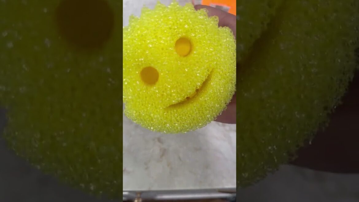 Scrub Daddy Grip???