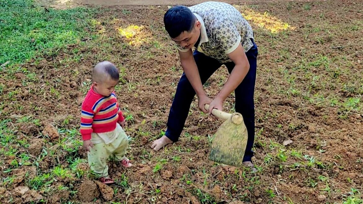 Single father and young son garden and design bamboo chicken coop