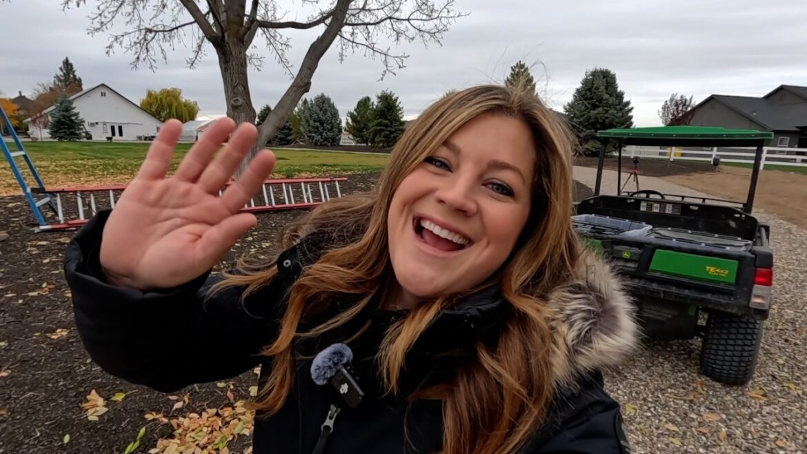 Garden Answer: First Outdoor Christmas Light Project of the Season + Digging & Potting Geraniums! ๐๐๐ชด First Outdoor Christmas Light Project of the Season + Digging & Potting Geraniums! ๐๐๐ชด