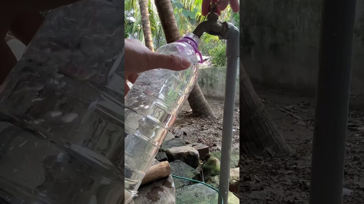 Genius ideas for you garden #diy #garden #tips Genius ideas for you garden #diy #garden #tips