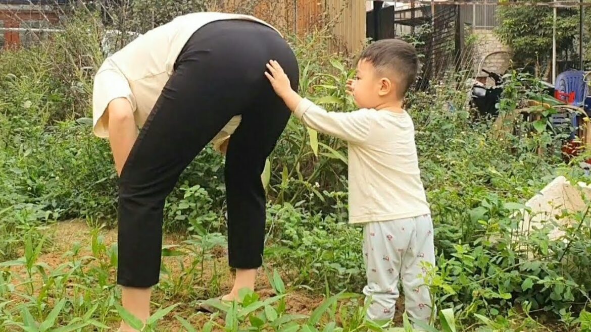 Single mother instructs son to weed clean vegetable garden to improve meals| Pham Thanh – Single Mom Single mother instructs son to weed clean vegetable garden to improve meals| Pham Thanh - Single Mom