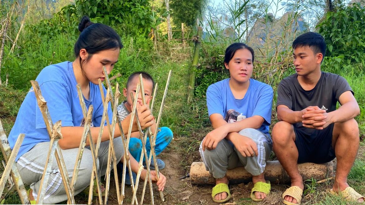Poor Girl supports Single Father in Cooking and Vegetable Gardening Poor Girl supports Single Father in Cooking and Vegetable Gardening
