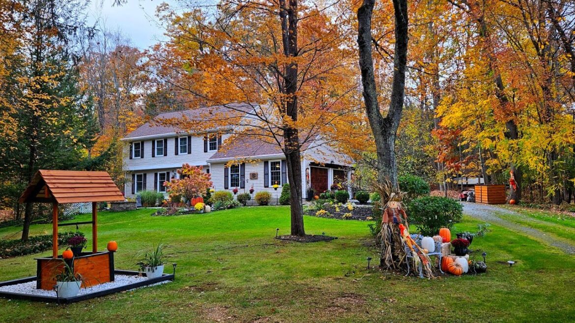 THE EASY WAY TO CLEAN UP FALL LEAVES||START TO FINISH LEAF CLEAN UP THE EASY WAY TO CLEAN UP FALL LEAVES||START TO FINISH LEAF CLEAN UP