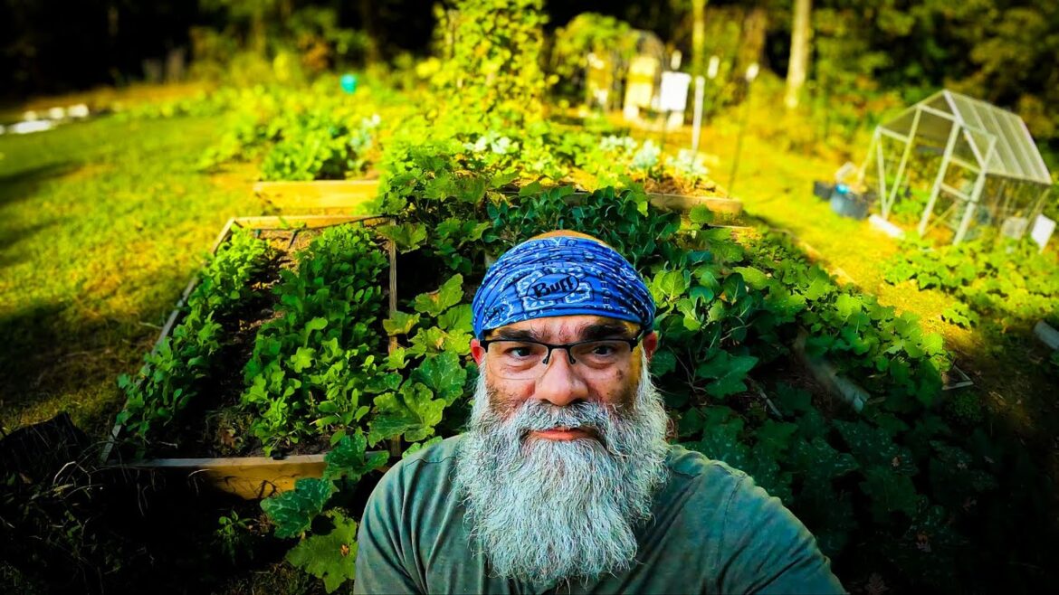 The best gardening Method for your garden The best gardening Method for your garden