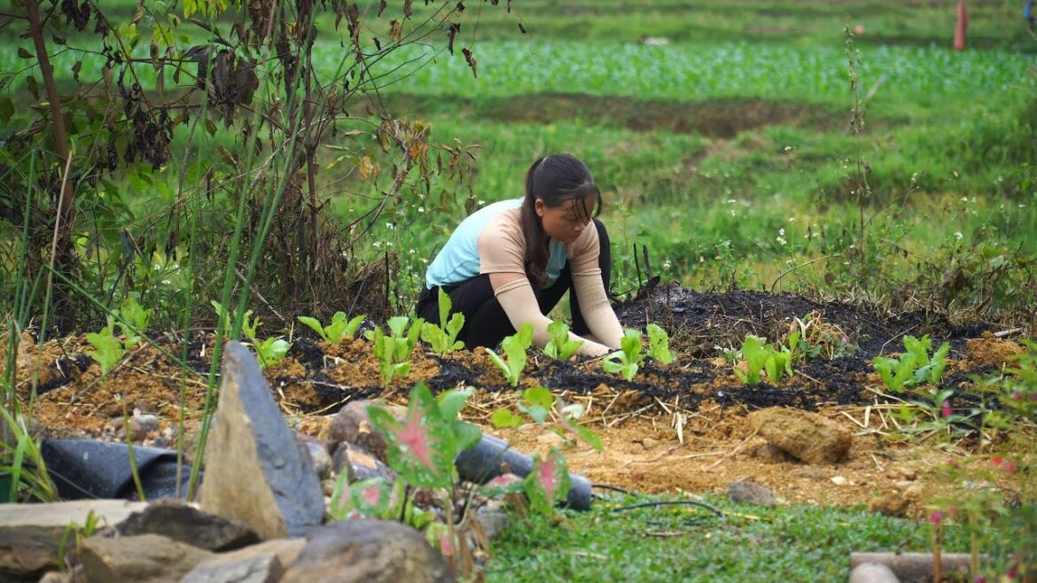 Want a THRIVING Vegetable Garden? Watch This Engineer's Secret Now