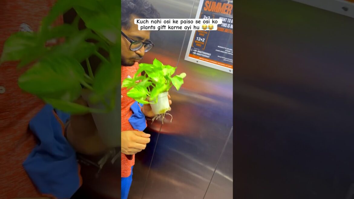 #Wife things😂 #biwi #husband #couplegoals #couple #trending #ytshorts #shorts #shortsfeed #ytviral #Wife things😂 #biwi #husband #couplegoals #couple #trending #ytshorts #shorts #shortsfeed #ytviral