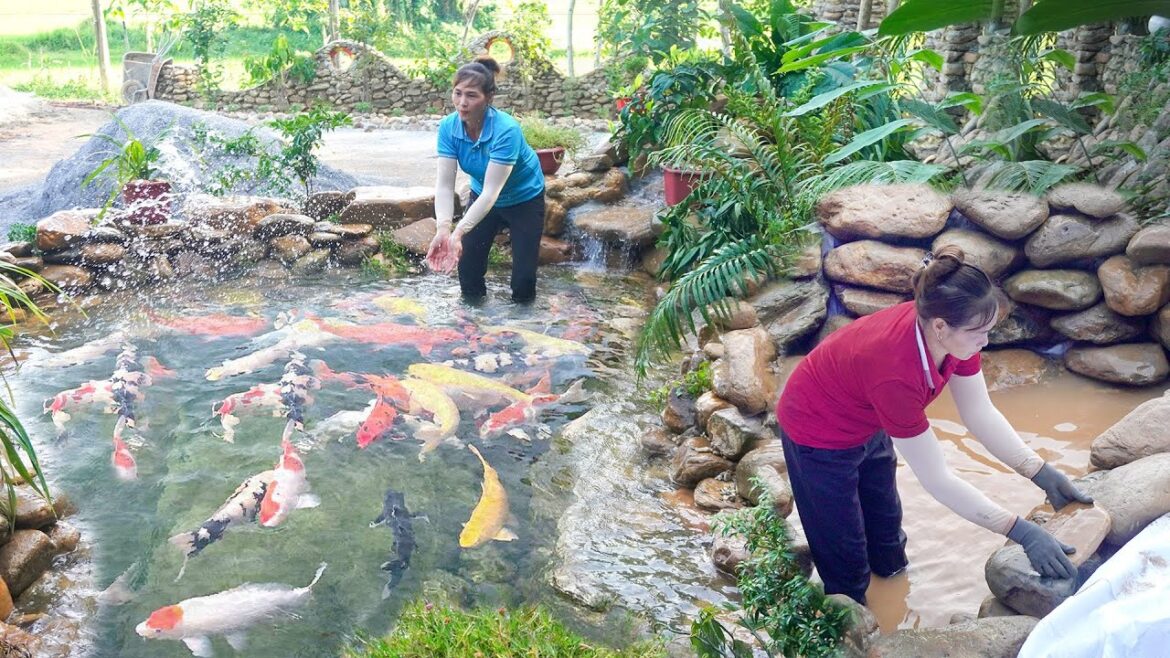 Building a KOI fish tank with many stones. Build beautiful garden landscapes – Live with nature Building a KOI fish tank with many stones. Build beautiful garden landscapes - Live with nature