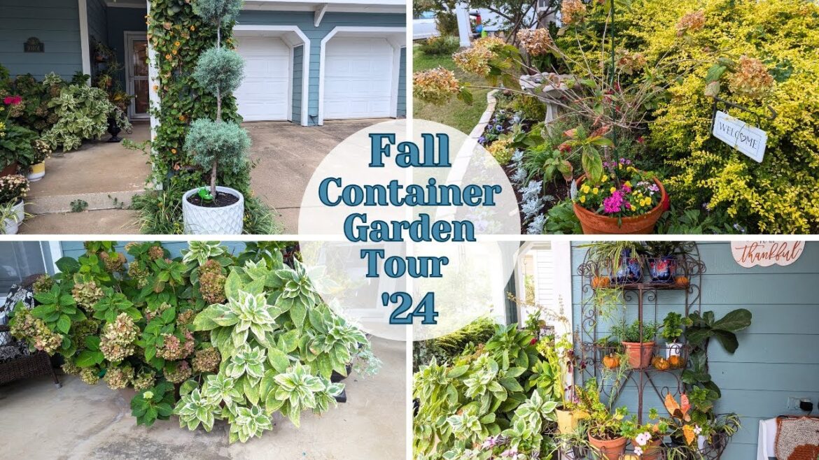 Last Container Garden Tour of 2024! Fall Container Inspiration in North Texas