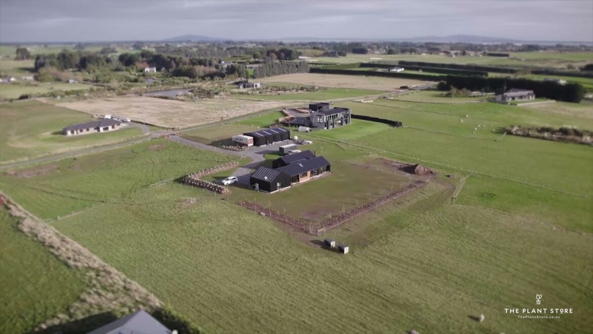 Flexible Garden Plans for Staged Implementation | The Plant Store Flexible Garden Plans for Staged Implementation | The Plant Store