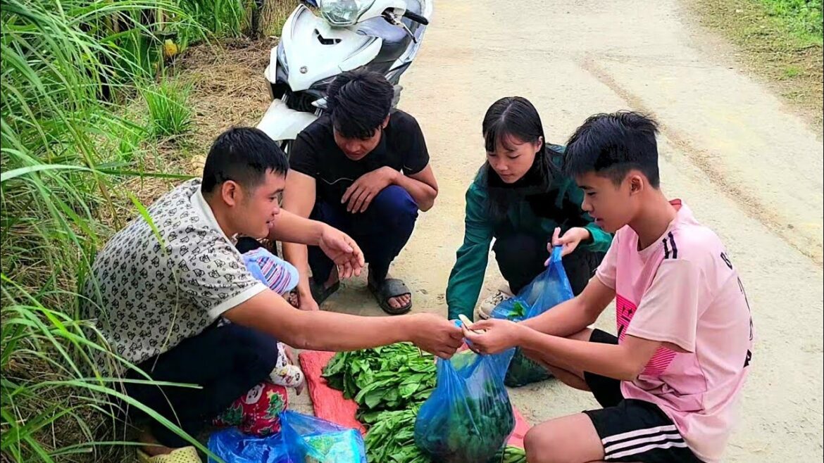 harvest vegetables to sell at the country market. vegetable gardening